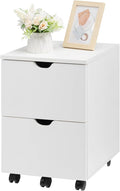 HollyHOME Under Desk Cabinet, Deep 2-Drawer Mobile Wood Cabinet, Storage Drawer for Home, Rolling Shelf for Office, Rolling Printer Stand, for A4, Modern, White