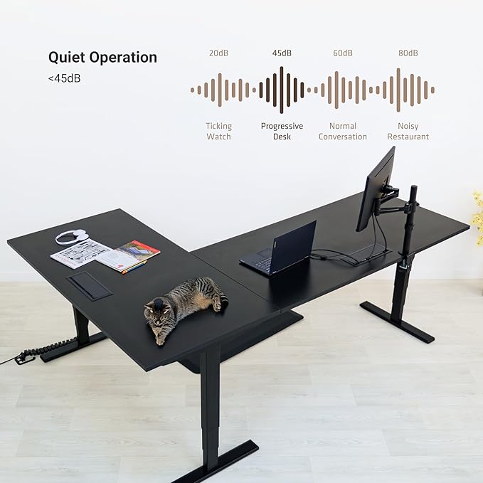 Standing Desk: FLT-05, DT-3030-WW, DT-4830-WW, DA-10-Black