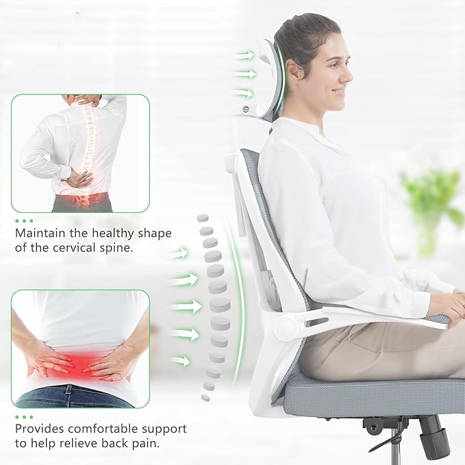 Mesh Office Executive Chair High Back Adjustable Home Desk Chair, Swivel Computer Managerial Chair with Lumbar Support (Grey)