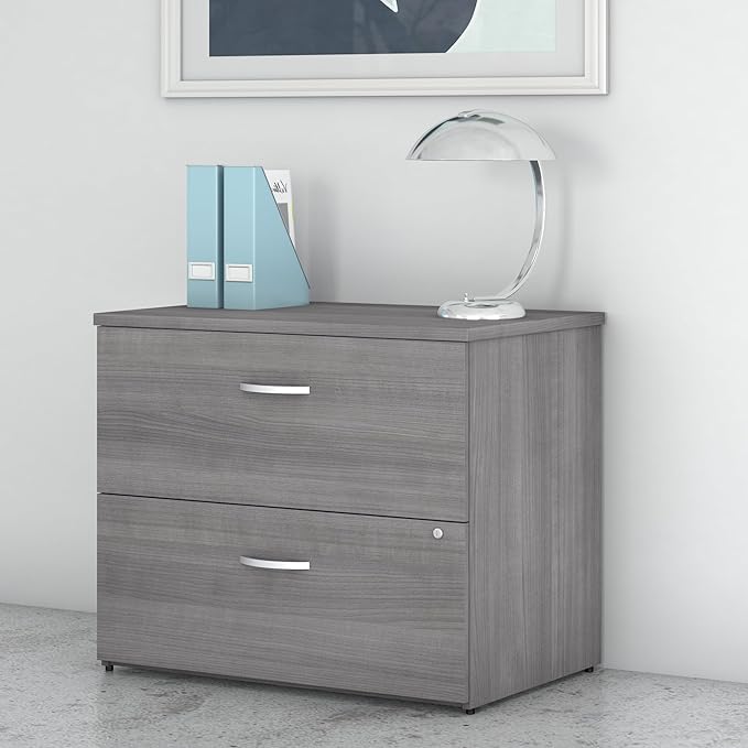Bush Business Furniture Studio C 2 Drawer Lateral File Cabinet in Platinum Gray - Assembled, Locking Document Storage for Home or Professional Office