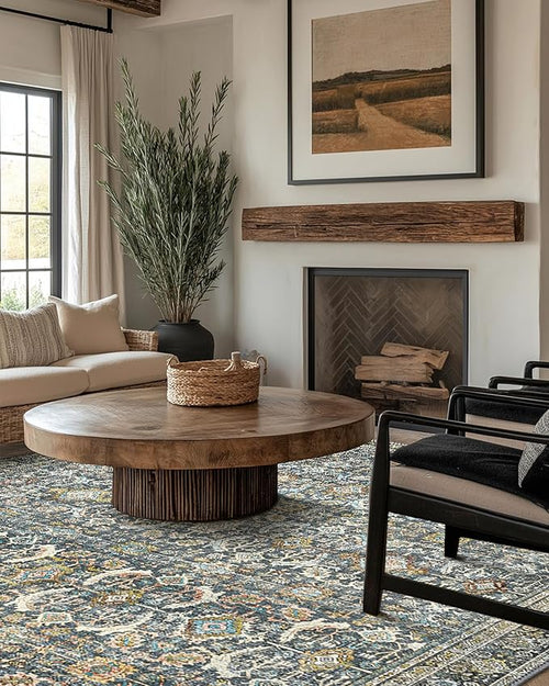 10X14 Area Rugs Machine Washable Rugs for Living Room, Vintage Boho Large Rugs for Bedroom Dining Room, Non Slip Indoor Soft Distressed Lightweight Thin Low Pile Carpet, Terracotta