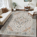 Tangsoo 3x5 Bedroom Rug, Washable Vintage Indoor, Area Rug Non Slip Accent Rug, Print Distressed Taupe Carpet, Soft Low Pile for Living Room Dorm Bedroom Bedside Entryway Bathroom
