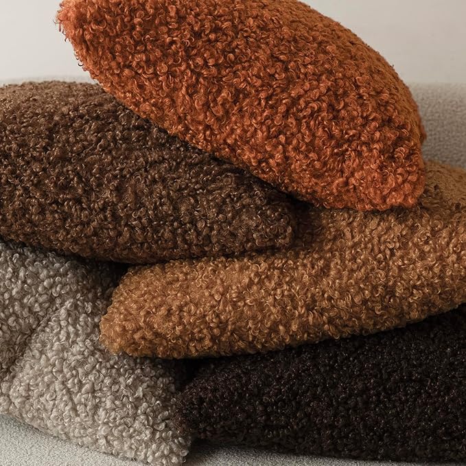 Foindtower 2 Pieces 22x22 Inch Burnt Orange, Faux Fur Throw Pillow Cover Accent Sherpa Furry Pillow Cover Fuzzy Soft Pillowcases Cozy Sheepskin Decorative Fleece Cushion Case for Bed Couch Living Room