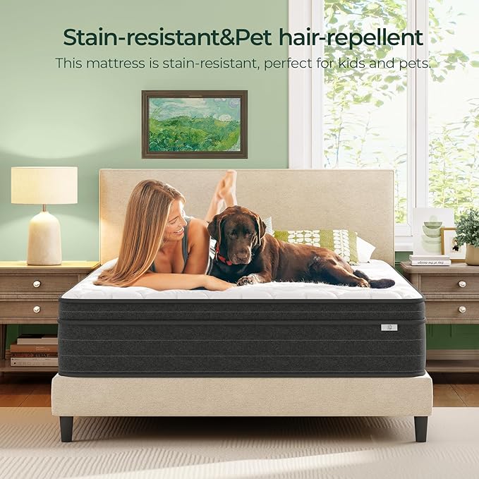 12 Inch King Size Mattress in a Box for Back Pain, Medium Firm Feel Fiberglass Free Hybrid Mattress with Individual Pocket Springs and Pressure-Relieving Memory Foam, 120-Night Trial
